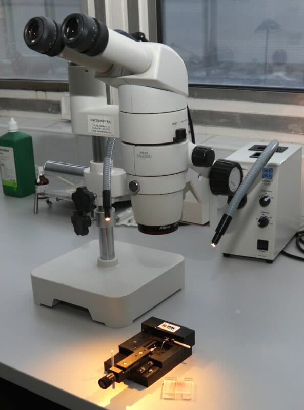 MDE GmbH - Small Vessel Wire Myograph Systems - One-Module System With Microscope