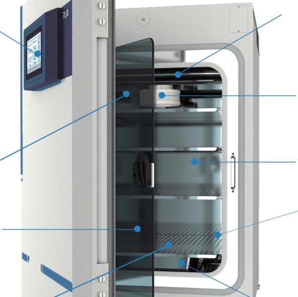 Hypoxia Chambers Scintica Instrumentation