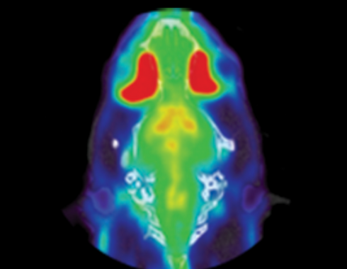 PET/CT for Preclinical Imaging