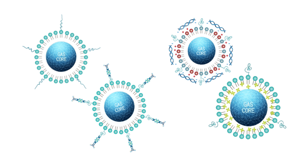 Microbubble Contrast Agents Ultrasound Preclinical Imaging