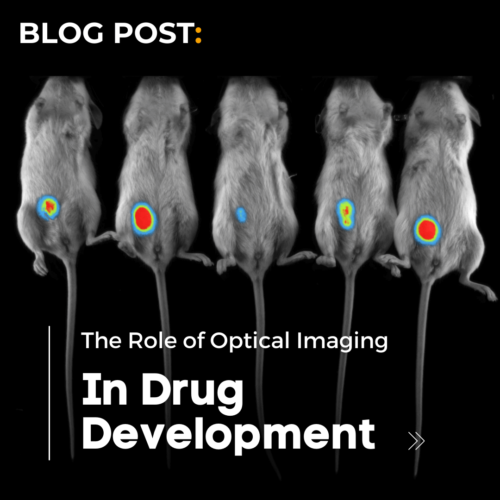 From Concept to Clinic: The Role of Optical Imaging in Drug Development