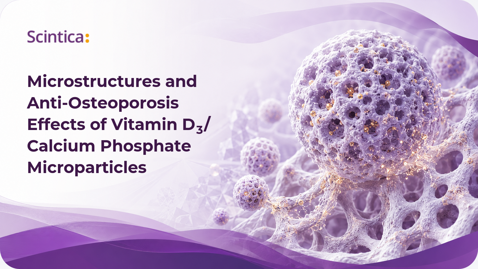Porous vitamin D₃-loaded calcium phosphate microparticles alongside trabecular bone microarchitecture