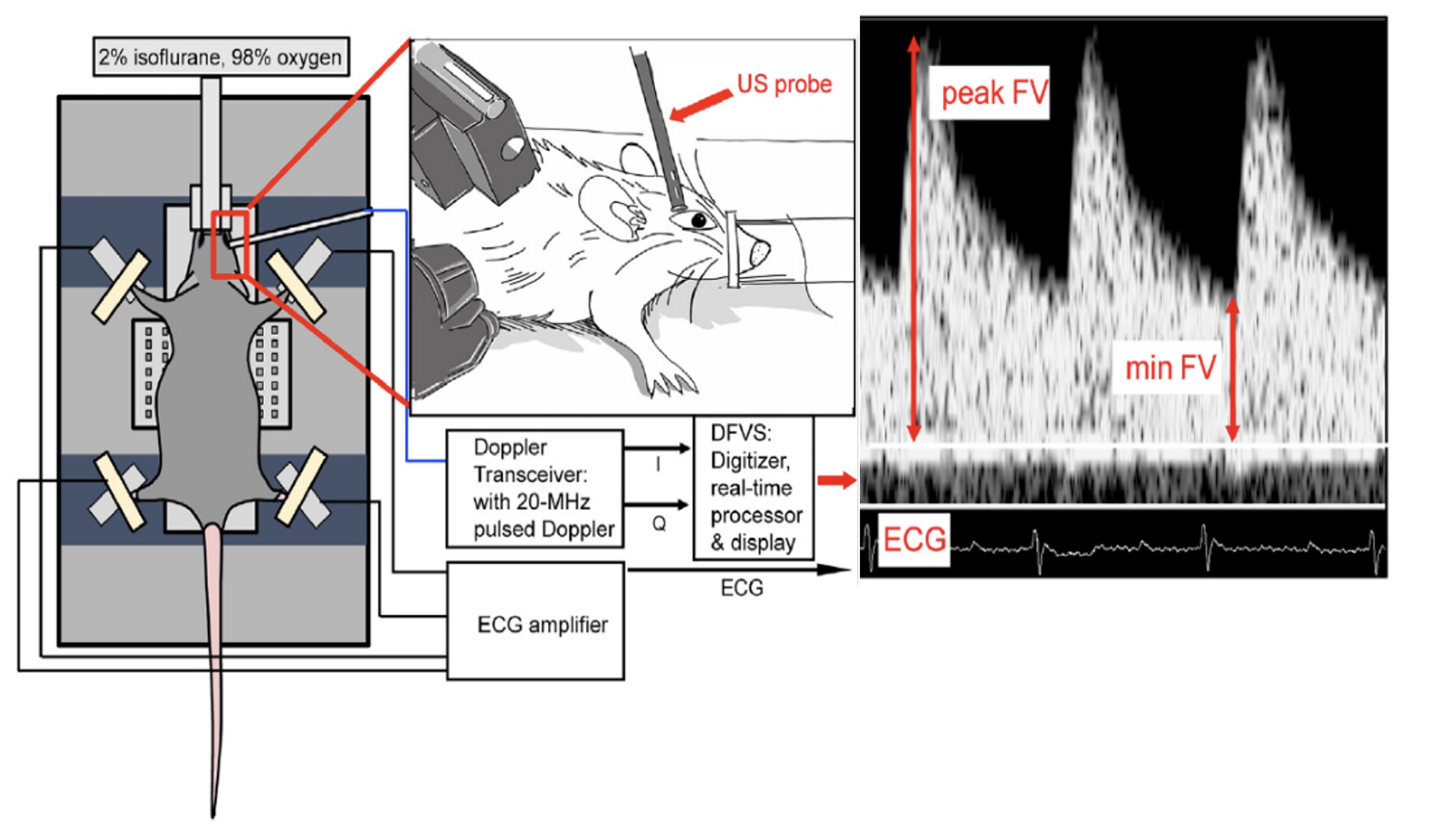 Image 2025-11-27 at 2.17 PM