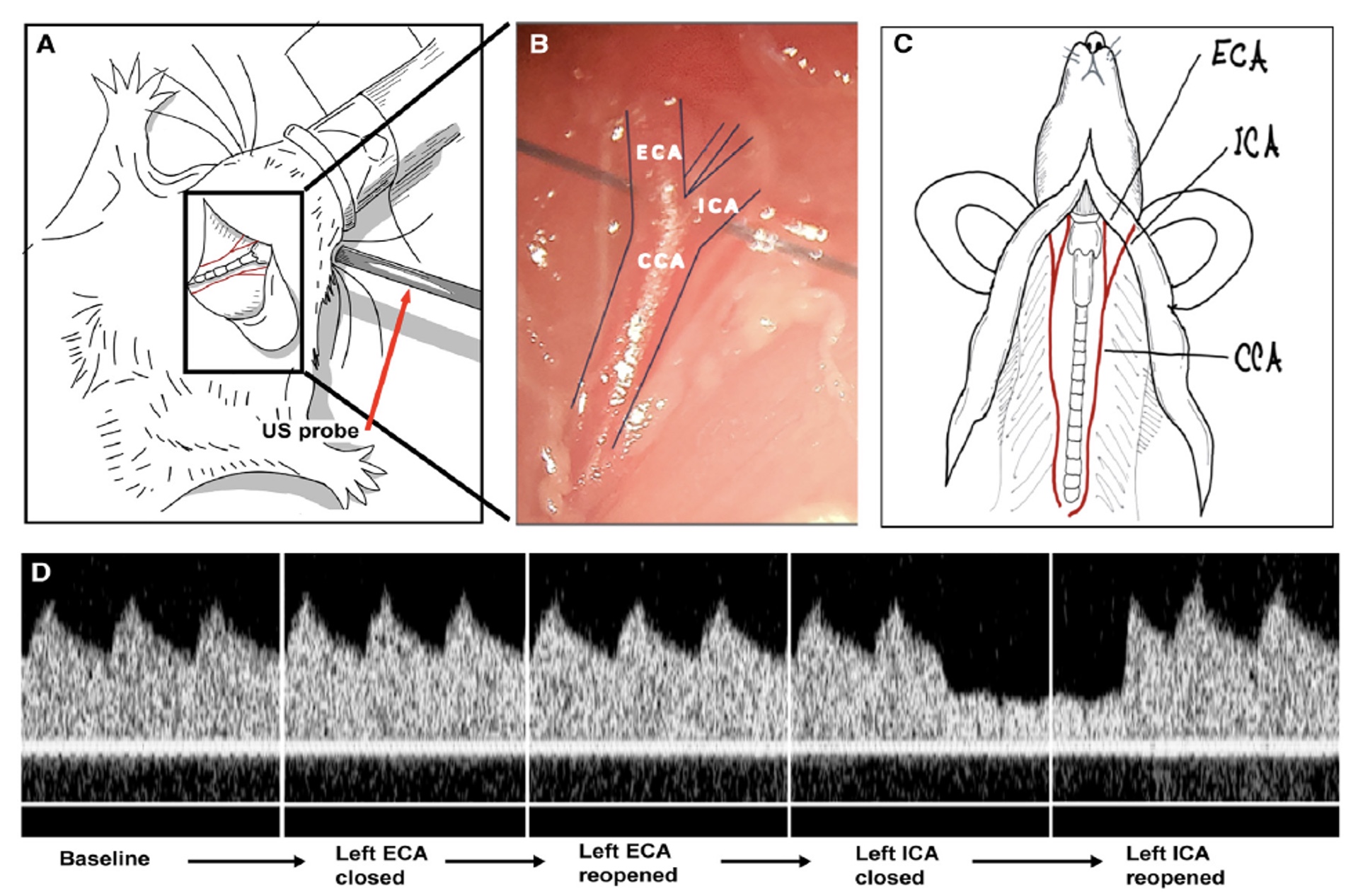 Image 2025-11-27 at 2.26 PM