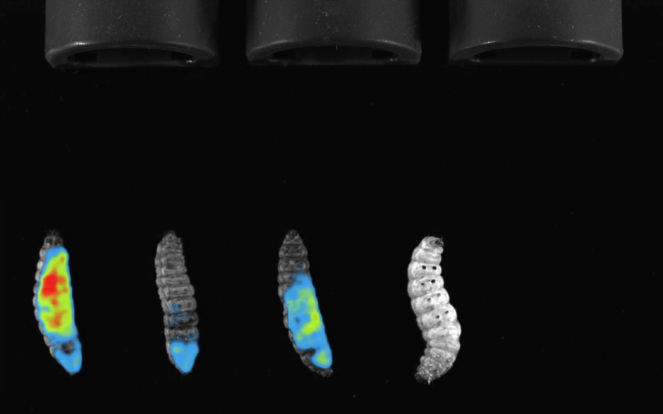 NEWTON 7.0 Blog post