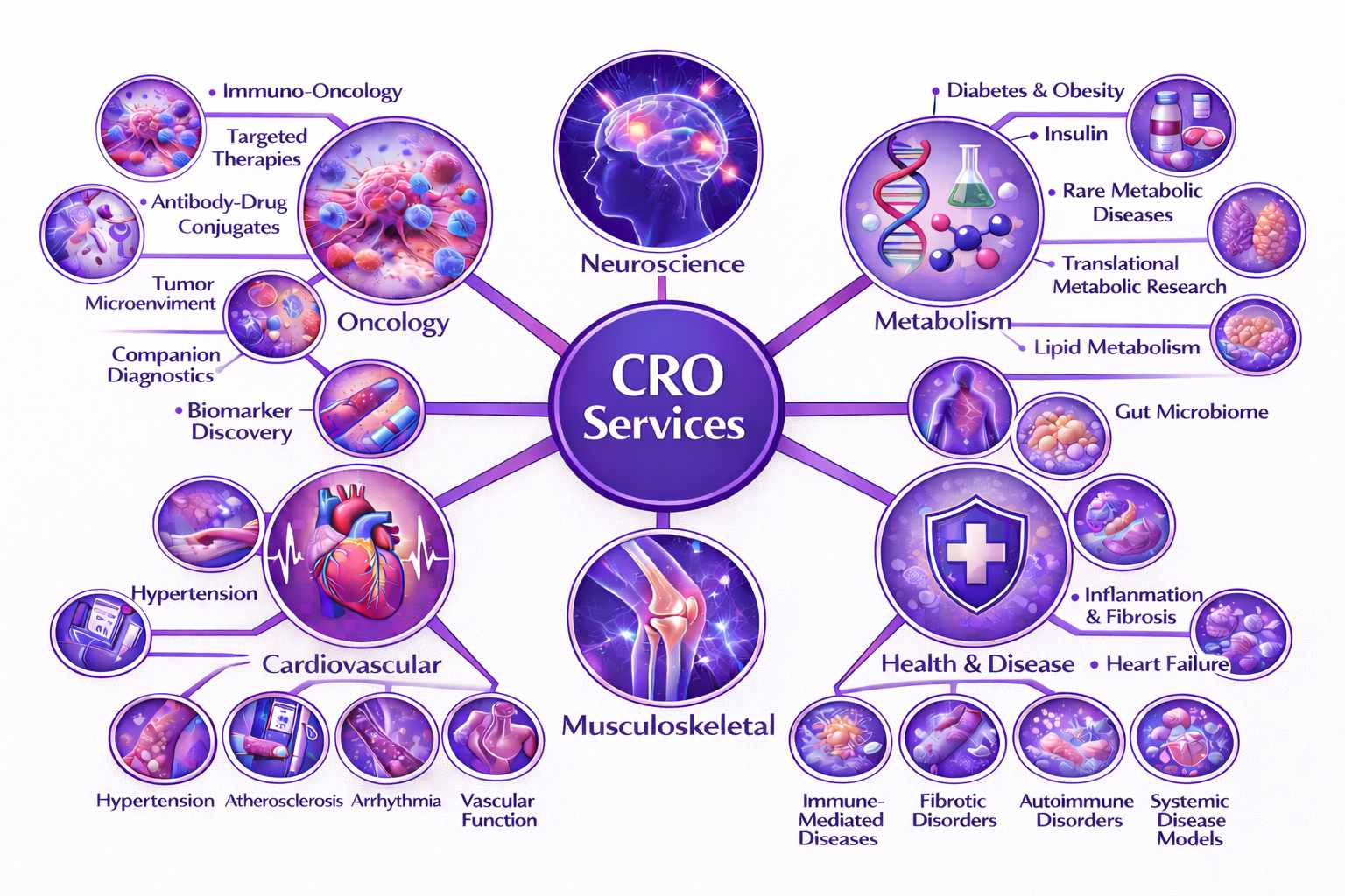 Preclinical imaging modalities collage