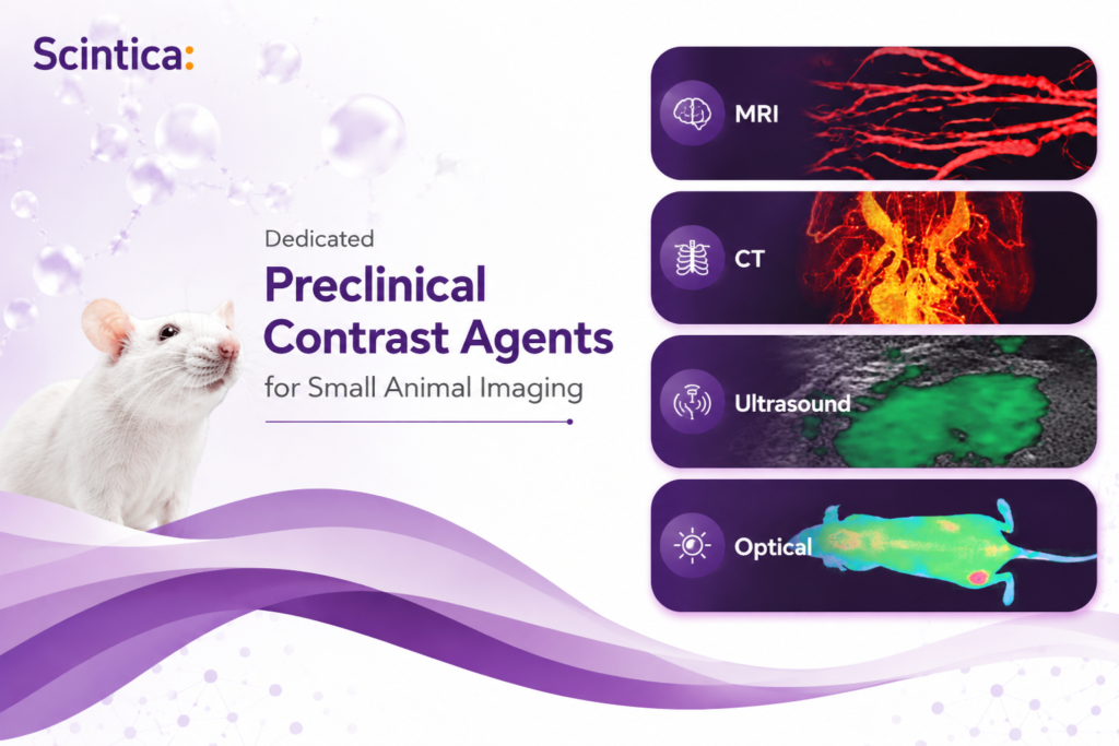 White laboratory mouse beside text promoting dedicated preclinical contrast agents for small animal imaging, with MRI, CT, ultrasound, and optical imaging modality panels.
